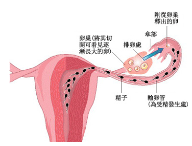 ꎵTl(f)ԭЩ?